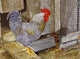 Rooster Wall Decal Design 1