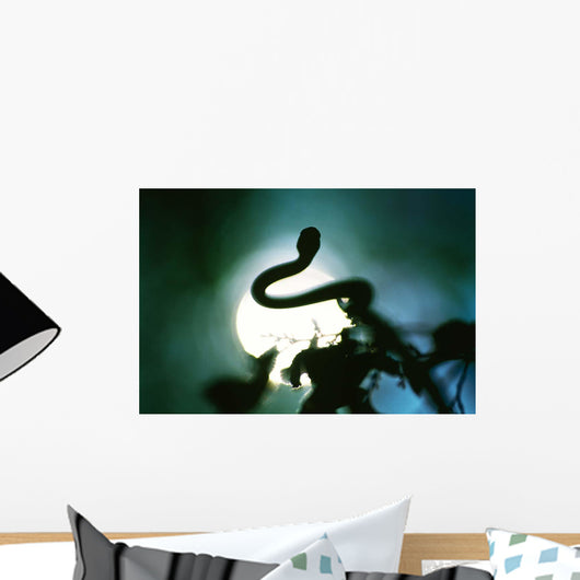 Snake Sun Wall Decal