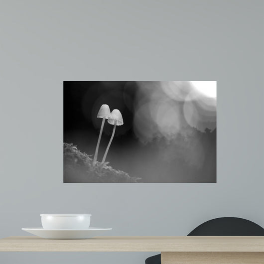 Mushroom Tiny Wall Decal