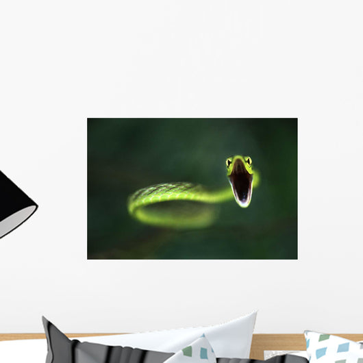 Vine Snake Wall Decal
