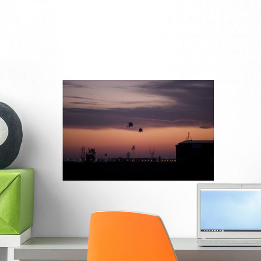 Pair Uh-60 Black Hawk Wall Decal