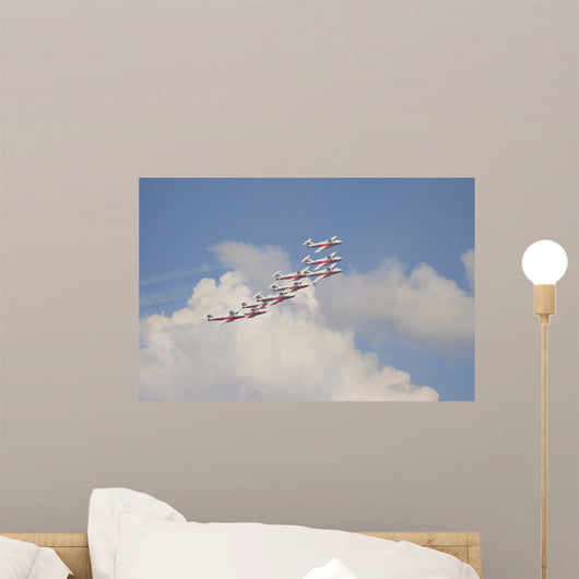 Snowbirds 431 Air Demonstration Wall Decal Design 21