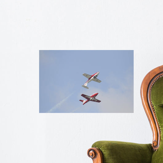 Snowbirds 431 Air Demonstration Wall Decal Design 10