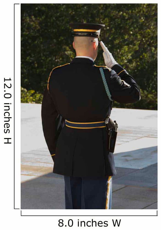Honor Guard Tomb Unknowns Wall Decal Design 1