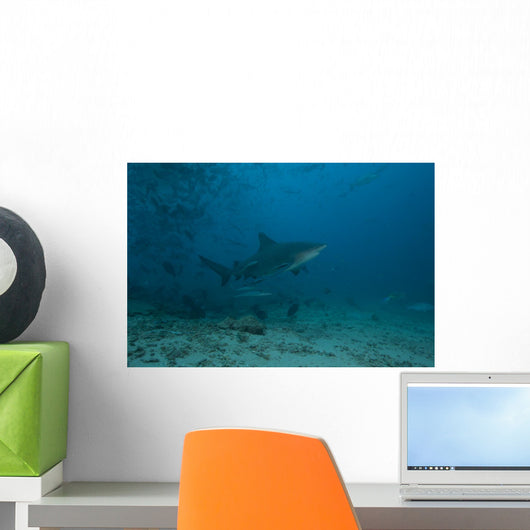 Large Bull Shark Bistro Turning Up Wall Decal