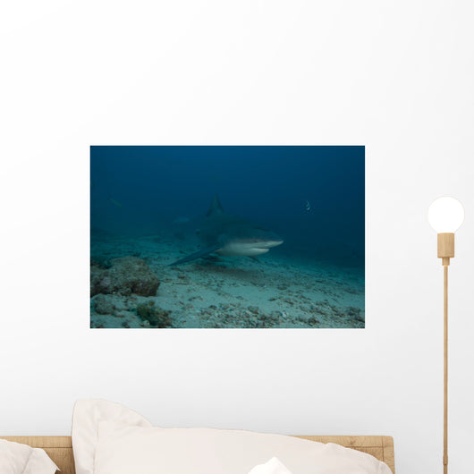 Large Bull Shark Bistro Murky Profile Wall Decal