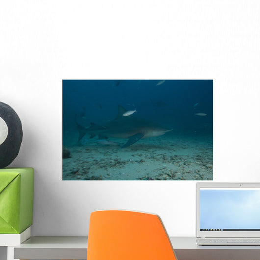 Large Bull Shark Bistro Murky Right Wall Decal