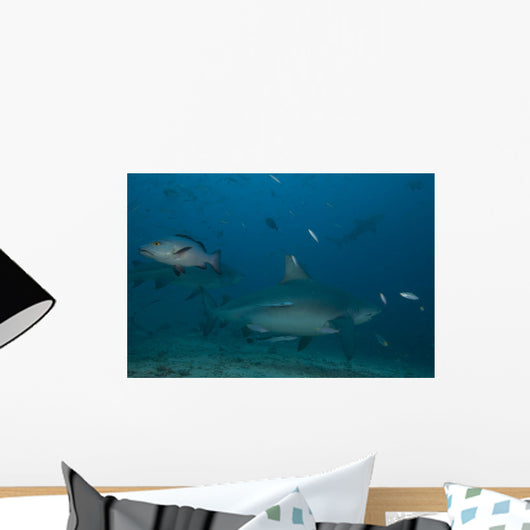 Large Bull Shark Bistro Murky Close Wall Decal