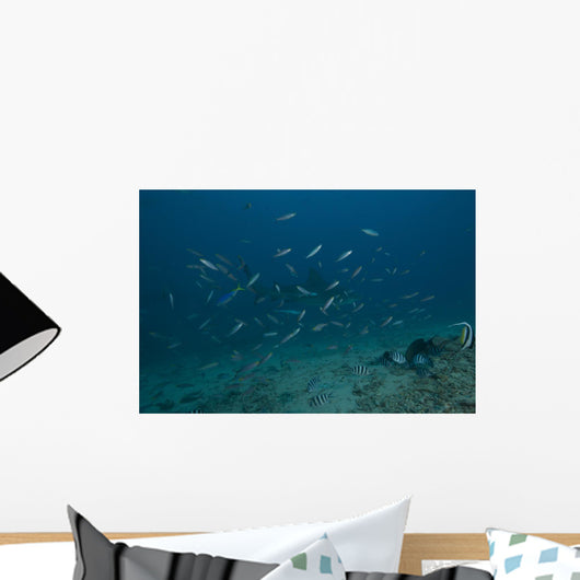 Large Bull Shark Bistro Murky Wall Decal