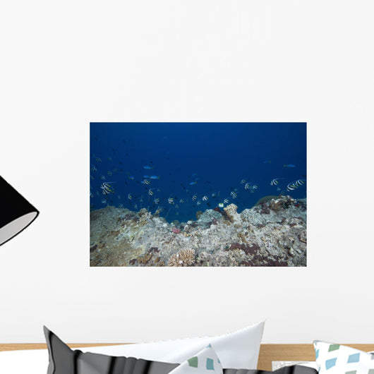 School Moorish Idols and Wall Decal