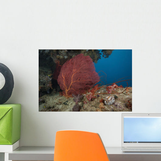 Large Red Gorgonian Sea Large Wall Decal