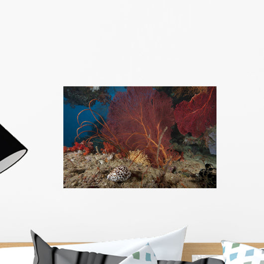 Large Red Gorgonian Sea Landscape Wall Decal