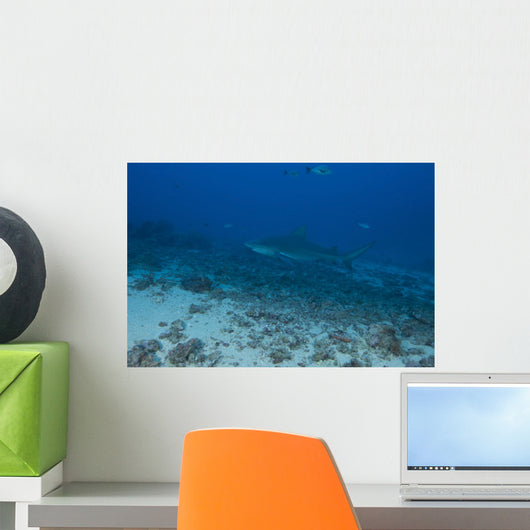 Large Bull Shark Bistro Far Distance Wall Decal