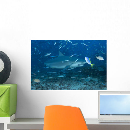Large Bull Shark Bistro Small Fish Wall Decal