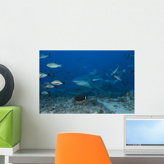 Large Bull Shark Bistro Ocean Floor Wall Decal