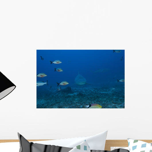 Large Bull Shark Bistro Distant Head Wall Decal