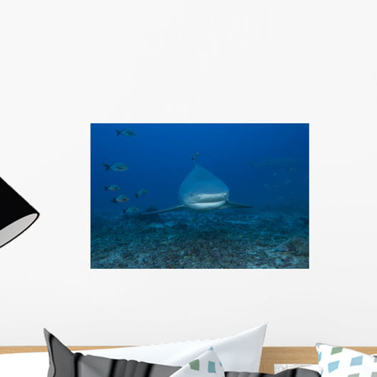 Large Bull Shark Bistro Head Wall Decal