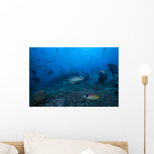 Large Tawny Nurse Shark with Divers Wall Decal