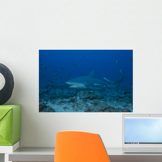 Large Bull Shark Bistro Blue Wall Decal