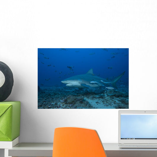 Large Bull Shark Bistro Front Left Wall Decal