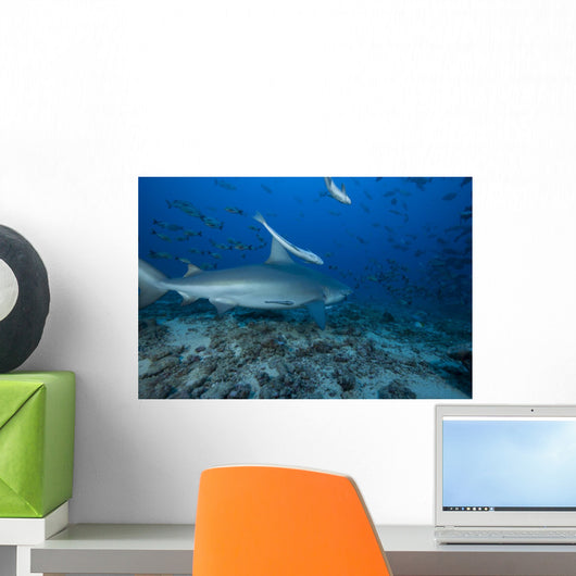 Large Bull Shark Bistro Back Right Wall Decal