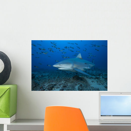 Large Bull Shark Bistro Left Profile Wall Decal