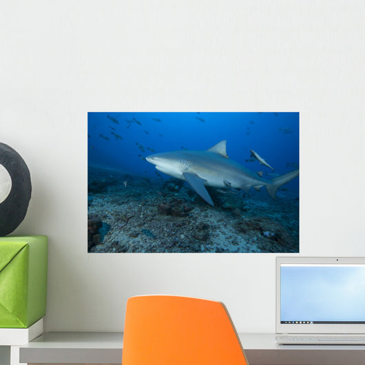 Large Bull Shark Bistro Left Wall Decal