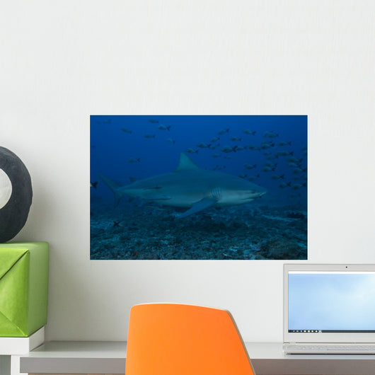 Large Bull Shark Bistro Right Wall Decal