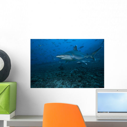 Silvertip Shark Bistro Dive Wall Decal