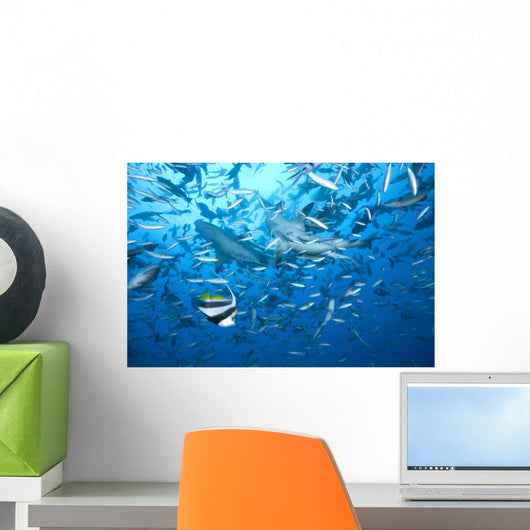 Large Bull Shark Bistro Underneath Wall Decal