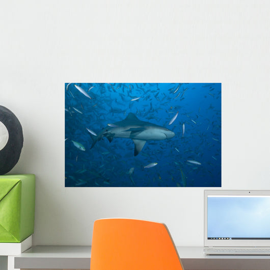 Large Bull Shark Bistro Up Wall Decal