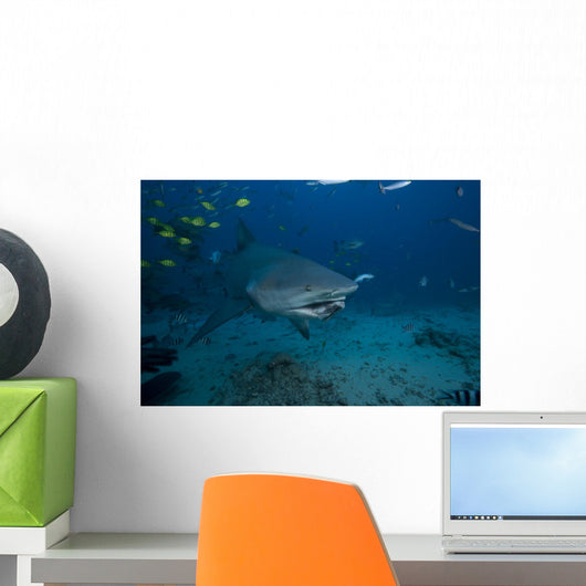 Large Bull Shark Bistro Open Mouth Wall Decal