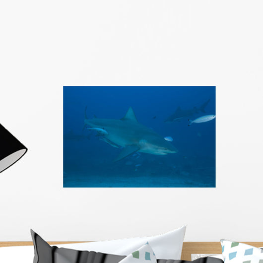 Large Bull Shark Bistro Top Right Wall Decal