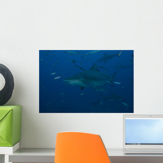 Large Bull Shark Bistro Dark Wall Decal