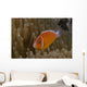 Pink Anemonefish Its Host Left Profile Wall Decal