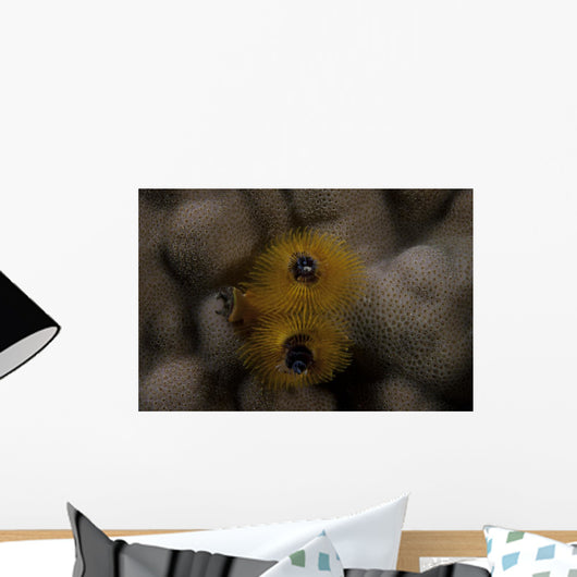 Close-up Yellow Christmas Tree Wall Decal