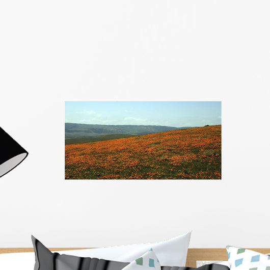 Californian Poppy Field Wall Decal