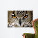 Eagle Owl Wall Decal