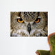 Eagle Owl Wall Decal