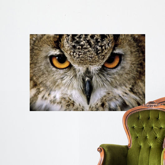 Eagle Owl Wall Decal