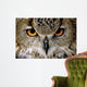 Eagle Owl Wall Decal