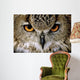 Eagle Owl Wall Decal