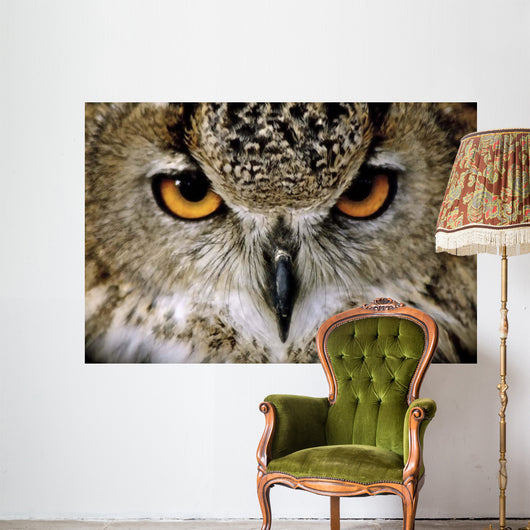 Eagle Owl Wall Decal