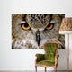Eagle Owl Wall Decal