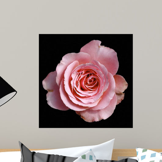 Fading Beauty Wall Decal