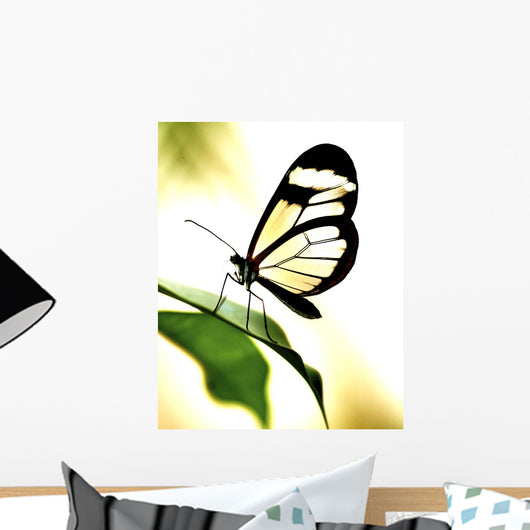 Transparent Butterfly Wall Decal