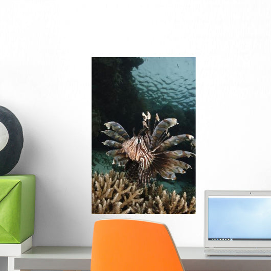 Lionfish Indonesia Wall Decal Design 2