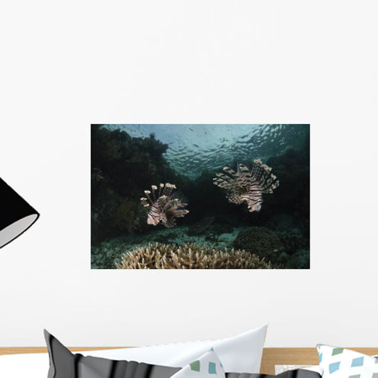 Pair Lionfish Indonesia Wall Decal Design 2