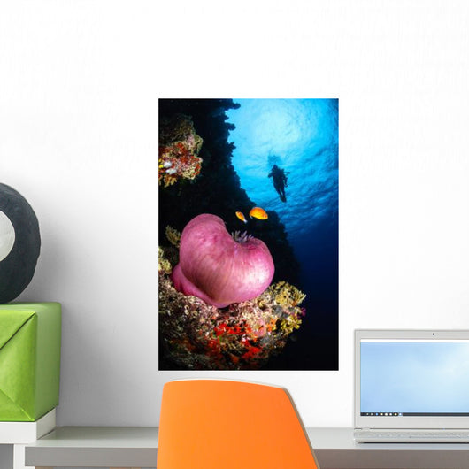 Diver and Magnificent Anemone Wall Decal Design 2