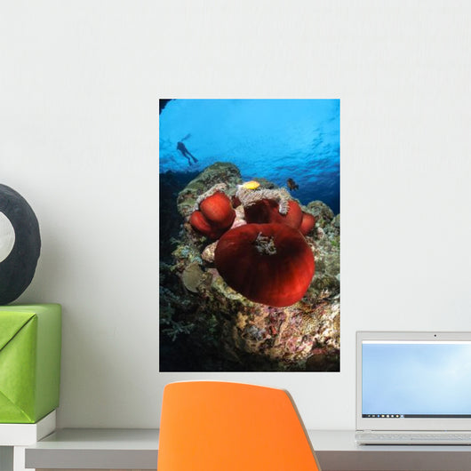 Diver and Magnificent Anemone Wall Decal Design 1